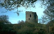 Dolbadarn Castle