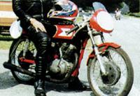 settebello.jpg - 8Kb